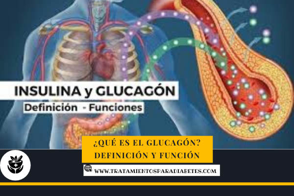 glucagon definicion
