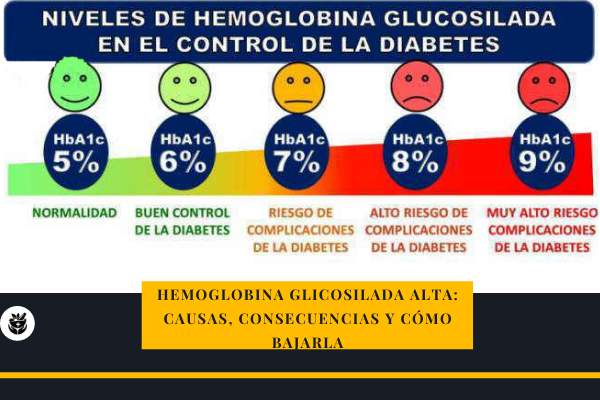 Hemoglobina glicosilada alta: causas, consecuencias y cómo bajarla