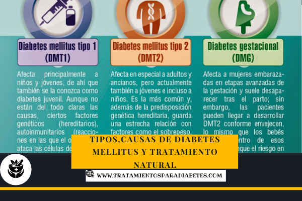 causas de diabetes mellitus como tratar con remedios caseros