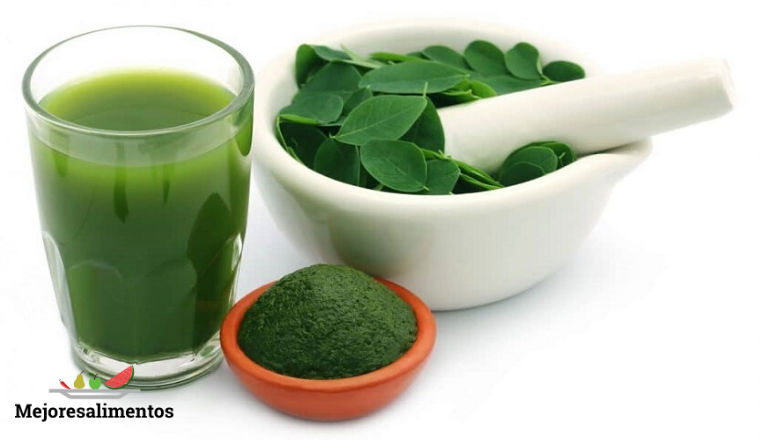 como preparar la moringa