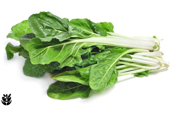 acelga para el higado