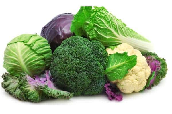 Brócoli coliflor y repollo dieta para gastritis