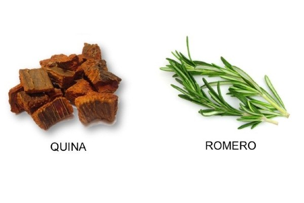 quina y romero para ocurecer las canas