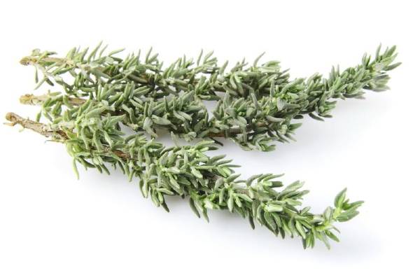 romero y tomillo para eliminar la caspa